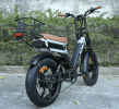 2000W 50 km/h LCD load 100kg climb 15¬∞ power range 90-100km LED (turn signal, taillight)
