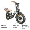 2000W 50 km/h LCD load 100kg climb 15¬∞ power range 90-100km LED (turn signal, taillight)